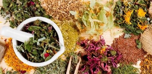 Raw materials for the preparation of folk remedies for thoracic osteochondrosis