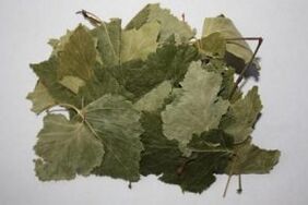 birch leaf for the treatment of arthrosis